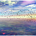 Tranquility